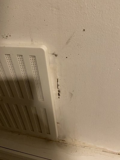 IMG_2285.jpg IMG_2285.jpg