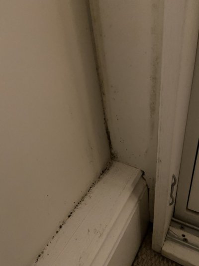 IMG_2287.jpg IMG_2287.jpg