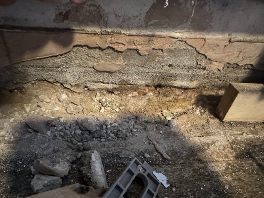 IMG_3005.jpg IMG_3005.jpg