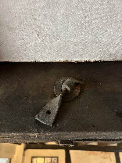 IMG_0726.jpeg IMG_0726.jpeg