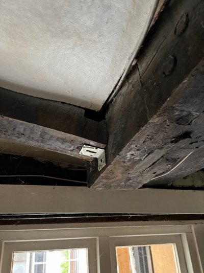 IMG_7118.jpeg IMG_7118.jpeg