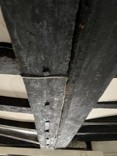 IMG_7116.jpeg IMG_7116.jpeg