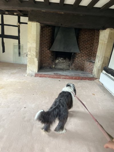 IMG_1374.jpeg IMG_1374.jpeg