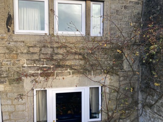 IMG_8883.jpeg IMG_8883.jpeg