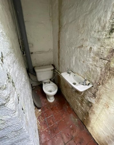IMG_3405.jpeg IMG_3405.jpeg
