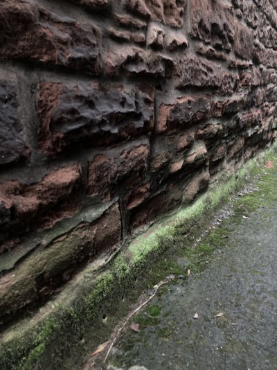 CD275F4A-0E3A-4C9A-A36D-2C38AC230235.jpeg CD275F4A-0E3A-4C9A-A36D-2C38AC230235.jpeg