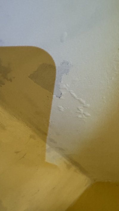 IMG_3139.jpg IMG_3139.jpg