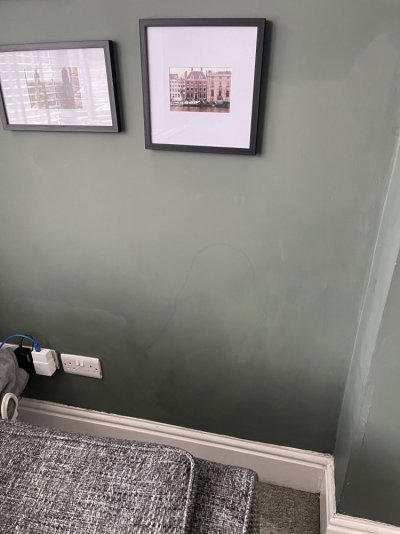 IMG_8574.jpeg IMG_8574.jpeg