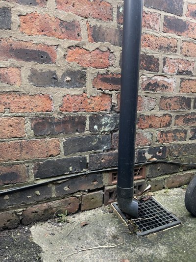 IMG_8572.jpeg IMG_8572.jpeg