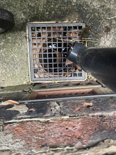 IMG_8573.jpeg IMG_8573.jpeg