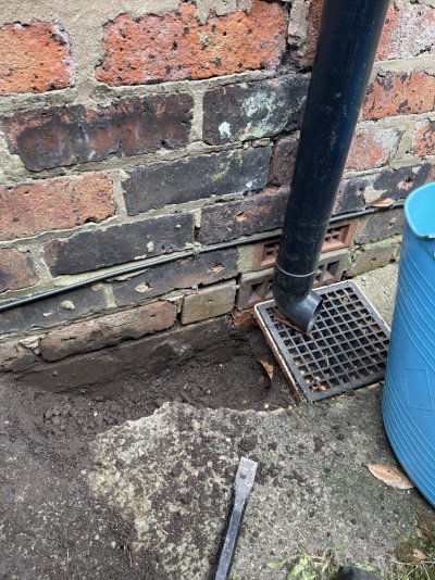 IMG_8576.jpeg IMG_8576.jpeg