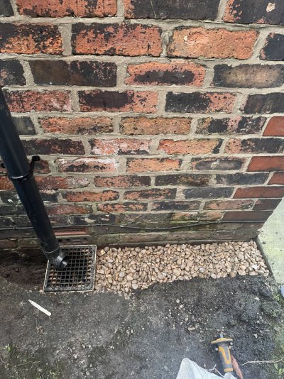 IMG_8579.jpeg IMG_8579.jpeg