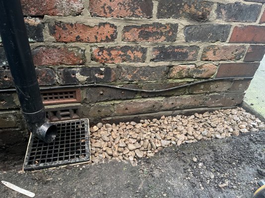 IMG_8580.jpeg IMG_8580.jpeg