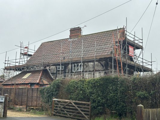 IMG_9971.jpeg IMG_9971.jpeg