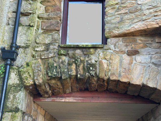 IMG_5972.jpeg IMG_5972.jpeg