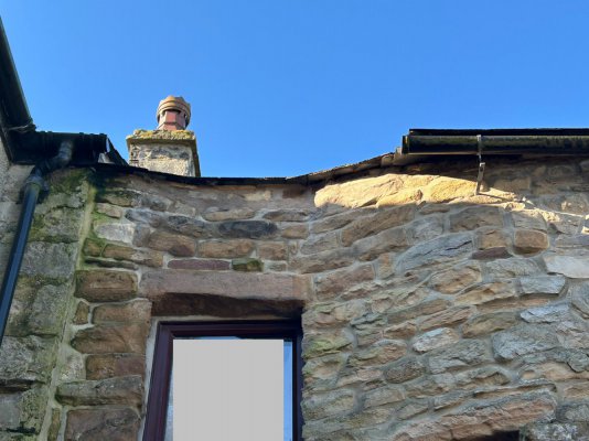 IMG_5973.jpeg IMG_5973.jpeg