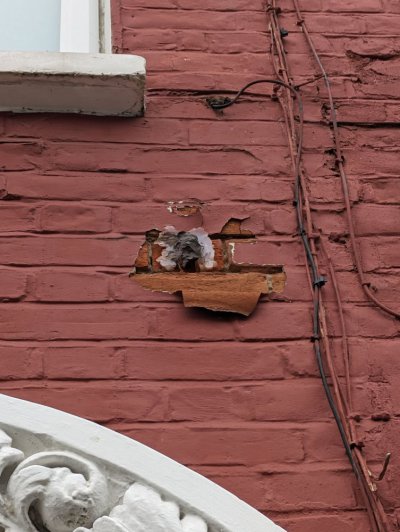 PXL_20240313_121113522.jpeg PXL_20240313_121113522.jpeg