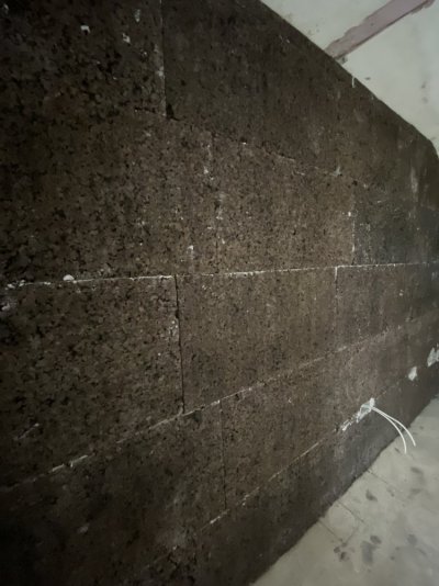 IMG_8442.jpeg