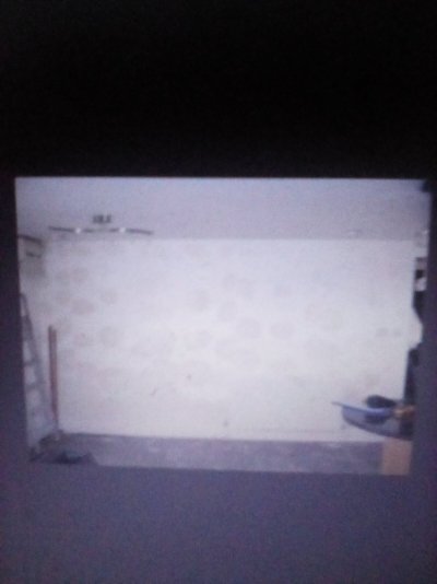 IMG_20240312_155746.jpg IMG_20240312_155746.jpg