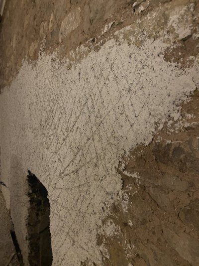 IMG_8627.jpeg