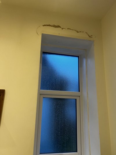 IMG_1461.jpeg
