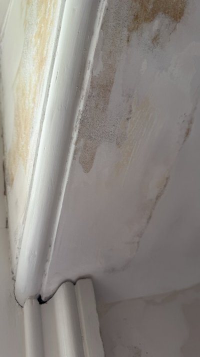 IMG_5686.jpeg