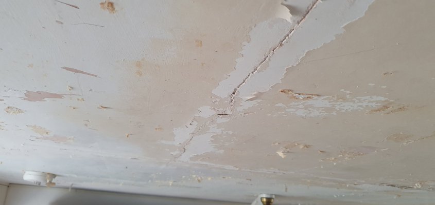 RECEPTION ROOM CEILING.jpg