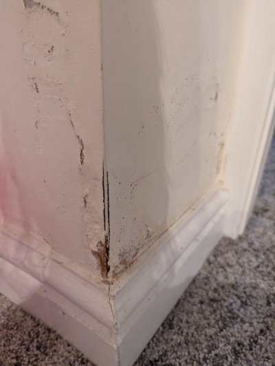 PXL_20240716_173942362.jpg PXL_20240716_173942362.jpg