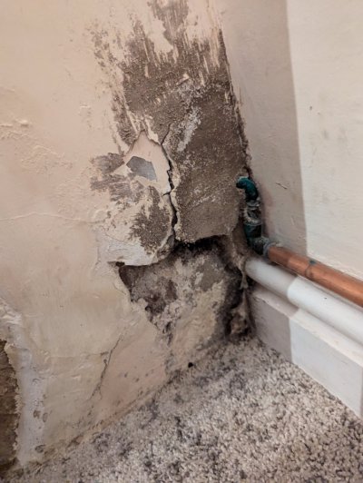 PXL_20240716_173953198.jpg PXL_20240716_173953198.jpg