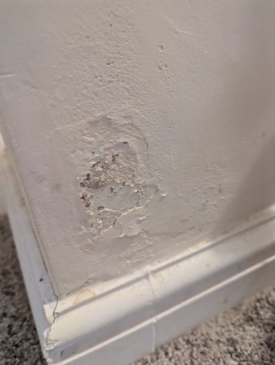 PXL_20240716_182721770.MP.jpg PXL_20240716_182721770.MP.jpg