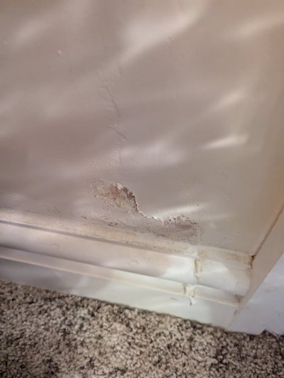 PXL_20240716_182733822.jpg PXL_20240716_182733822.jpg