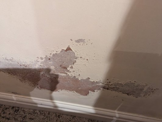 PXL_20240716_203647748.jpg PXL_20240716_203647748.jpg