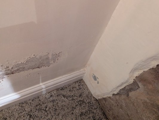 PXL_20240716_203650712.jpg PXL_20240716_203650712.jpg