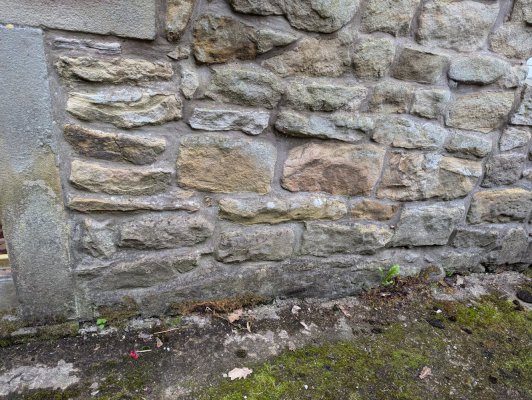 PXL_20240716_183148787.jpg PXL_20240716_183148787.jpg