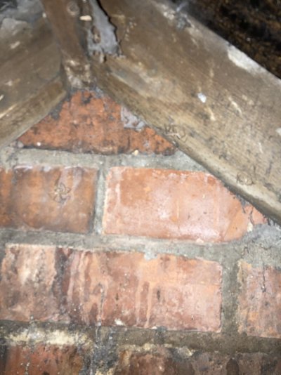 IMG_6040.jpeg IMG_6040.jpeg