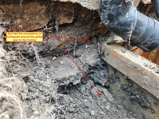 Initial Excavation.jpg Initial Excavation.jpg