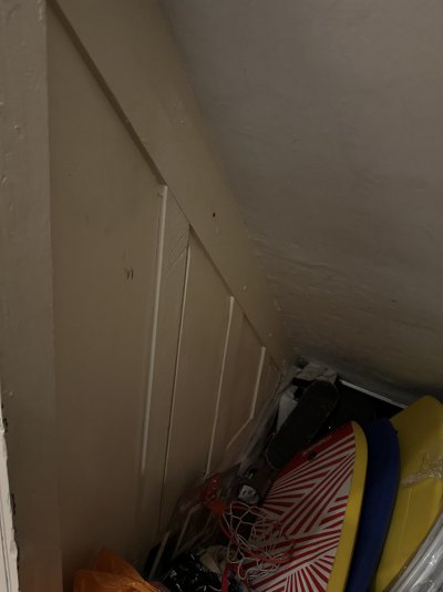 IMG_4008.jpeg IMG_4008.jpeg